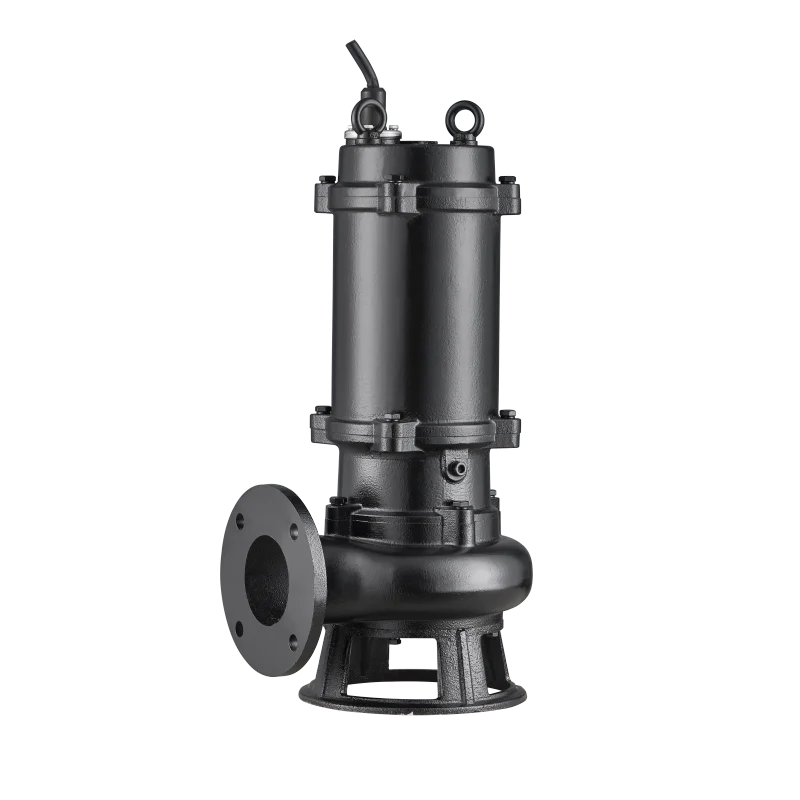 High-Lift Centrifugal Submersi - Water Pump Submersible のレビューと価格